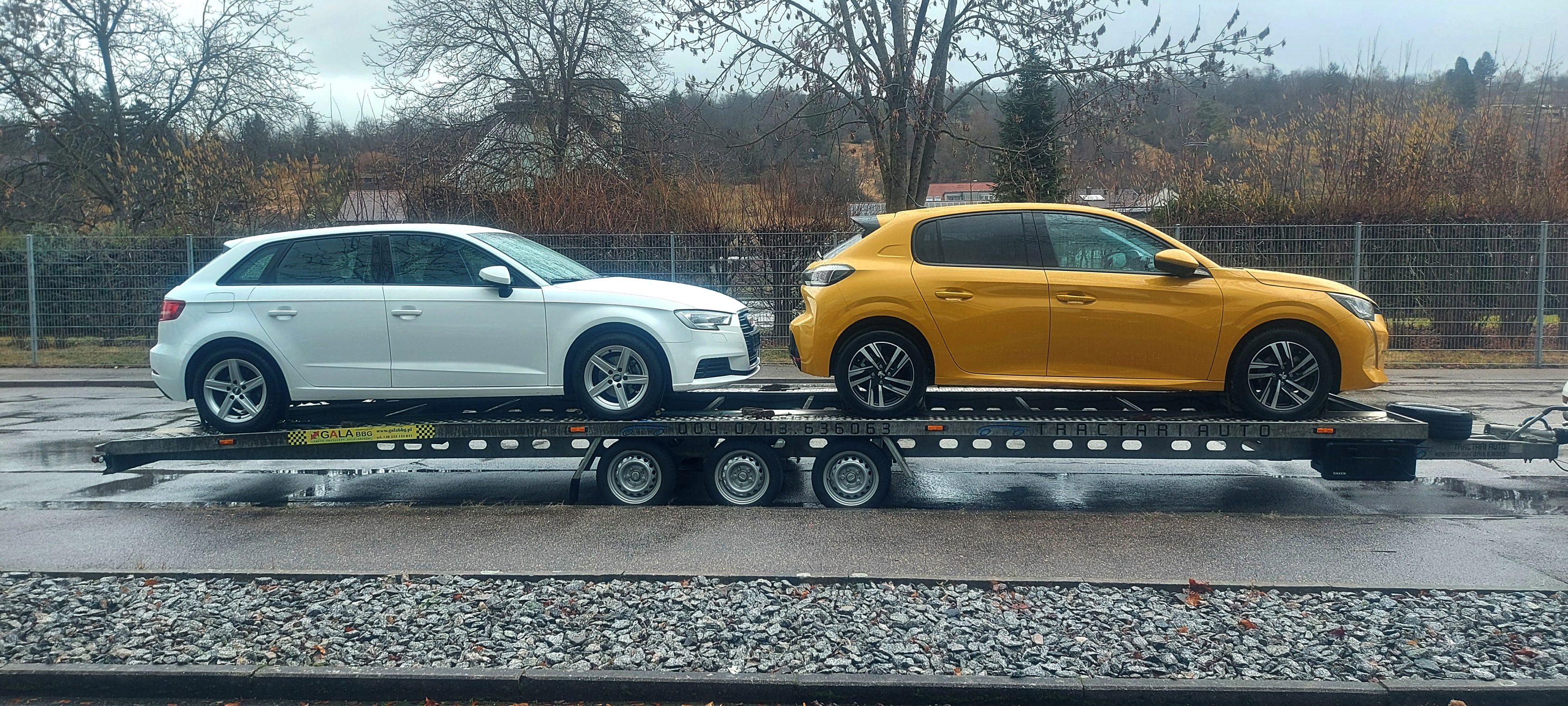 Transport auto, Peugeot & Audi, Germania - Franta